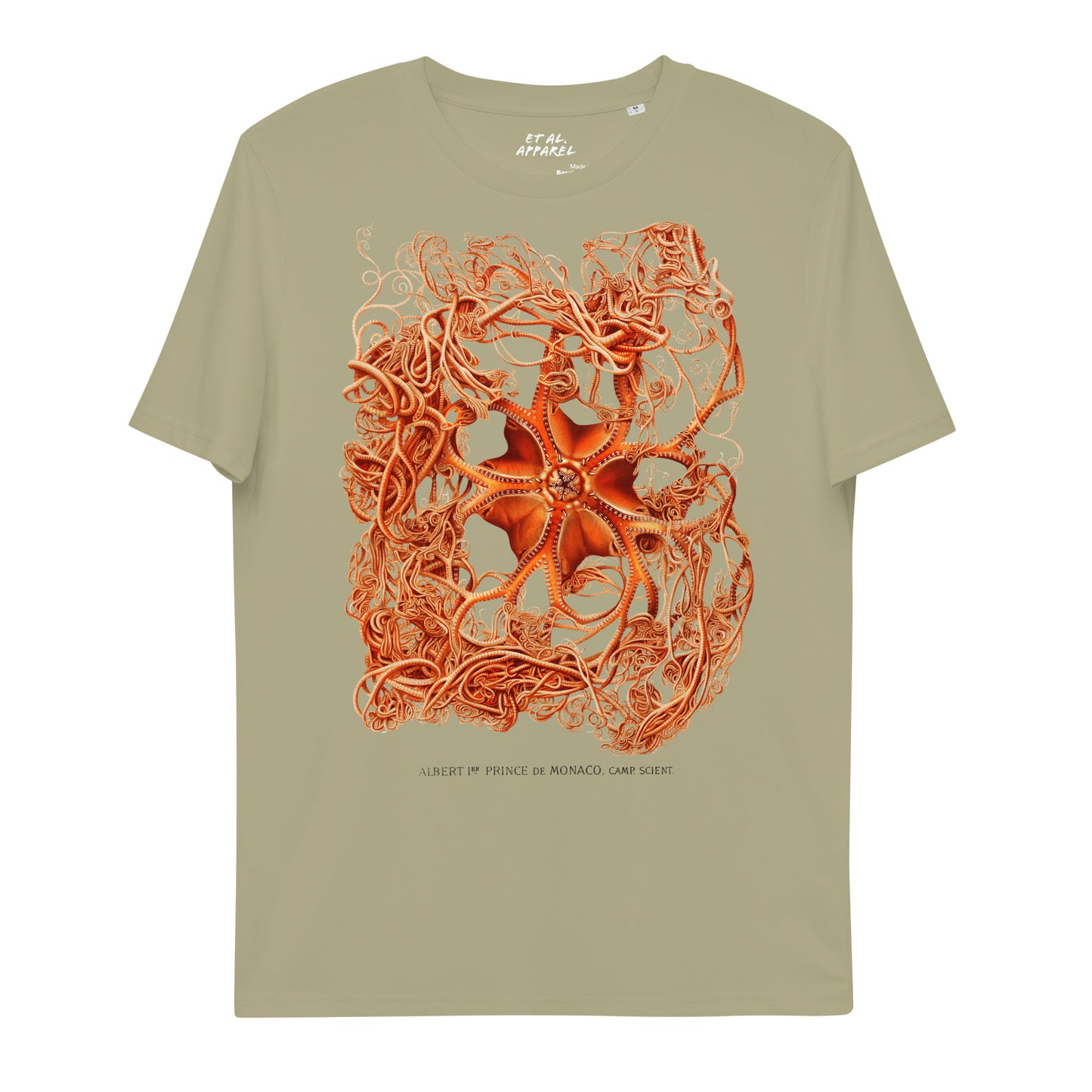 Basket Star | Prince Albert 1st Grimaldi